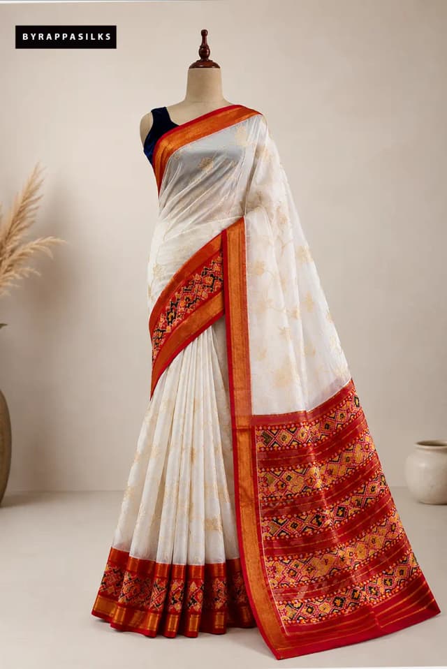 Pochampally Aplic Work Organza Saree AA317036