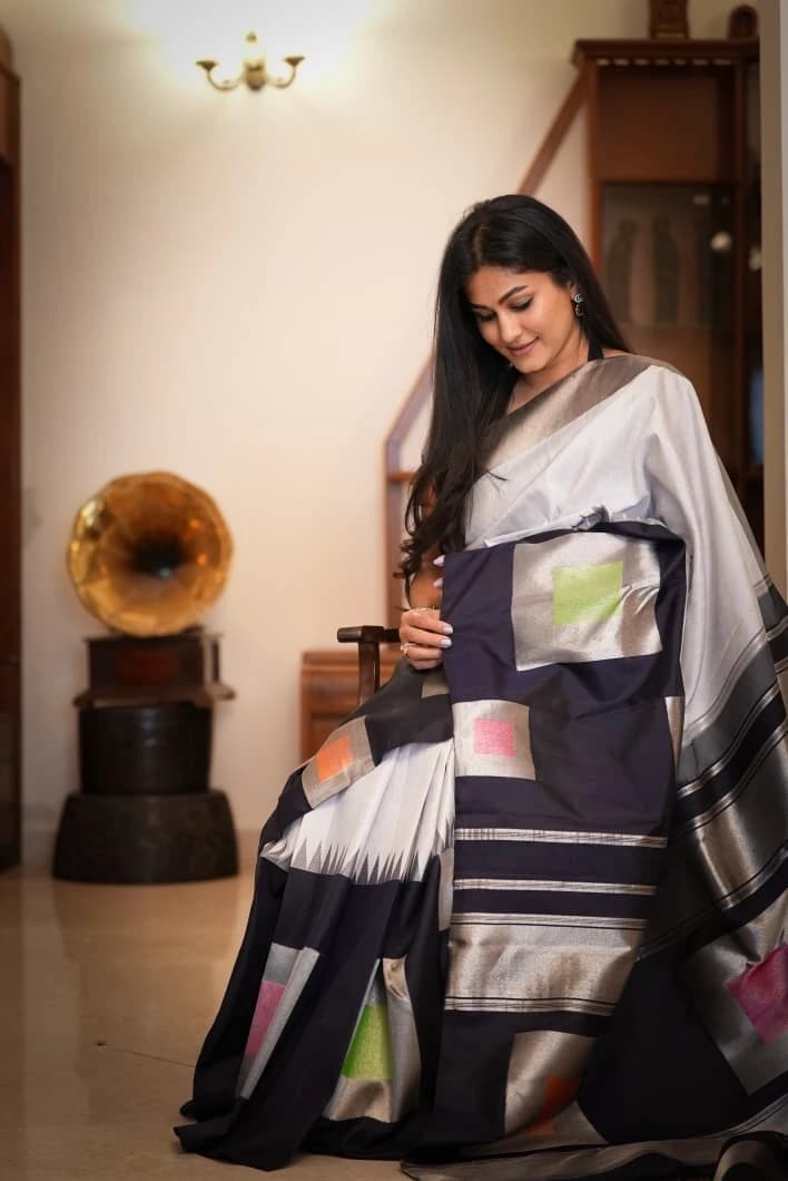 Kanjeevaram Elegant Silver & Black Handloom Pure Silk Saree QW202566